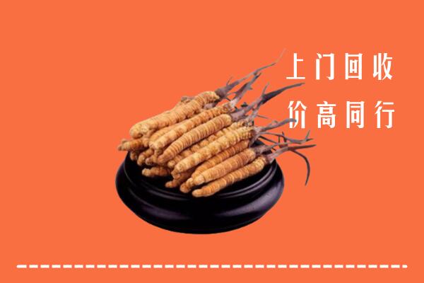 高价求购：解放区回收散虫草