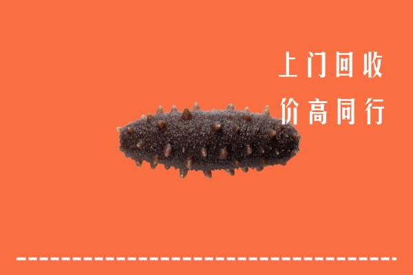 解放区高价回收海参